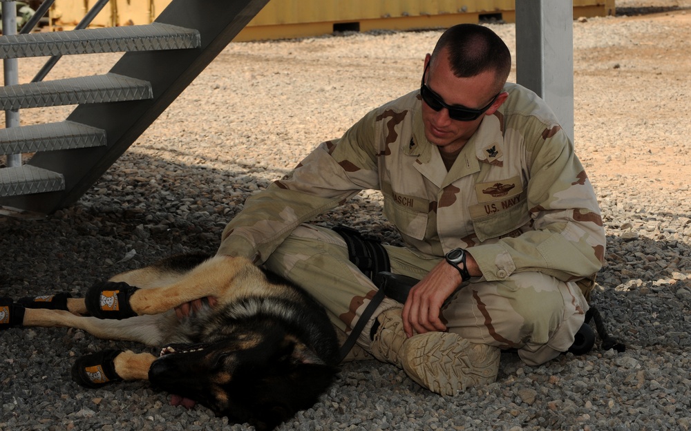 Military Working Dog Unit Training Camp Lemonier