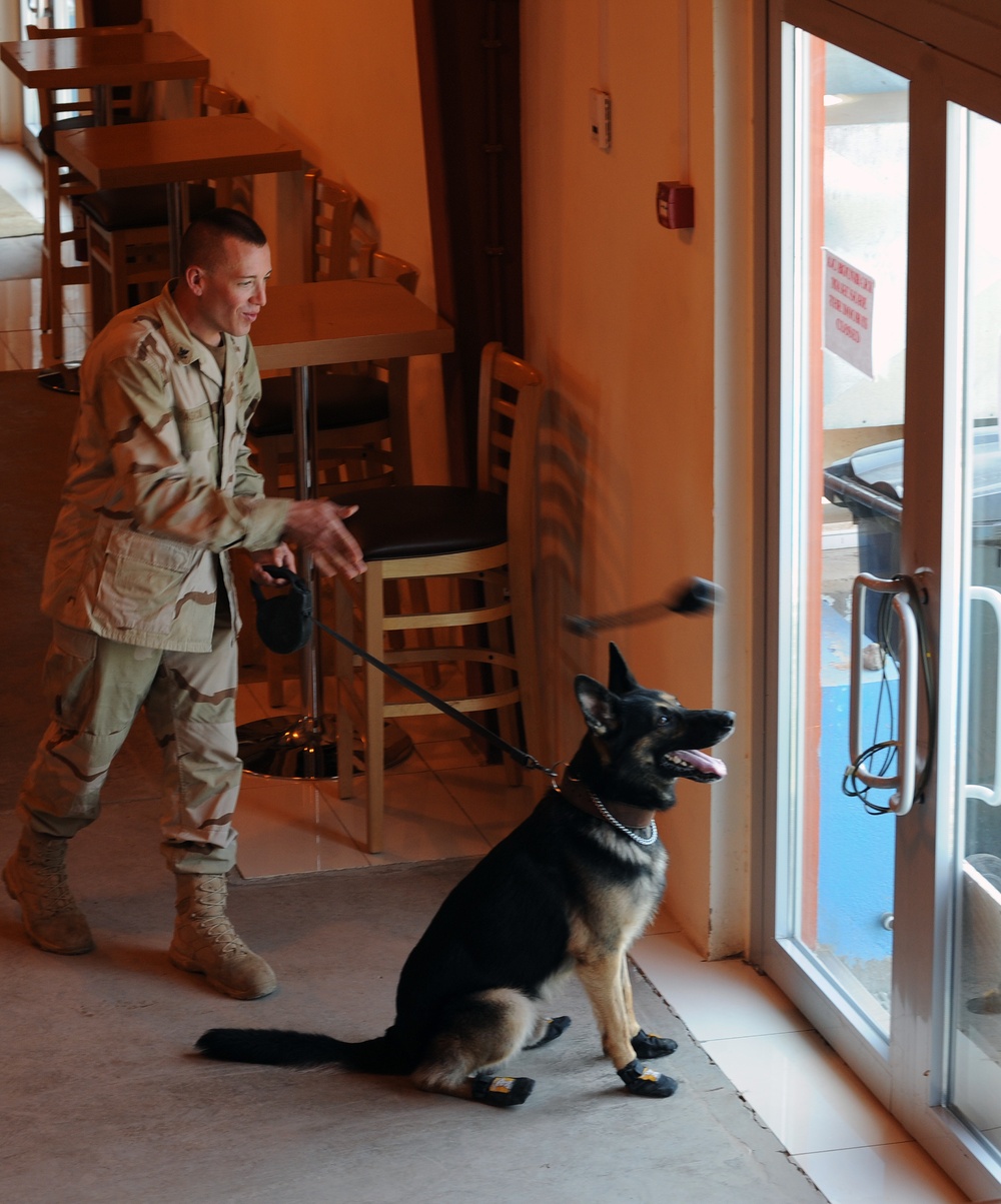 Military Working Dog Unit Training Camp Lemonier