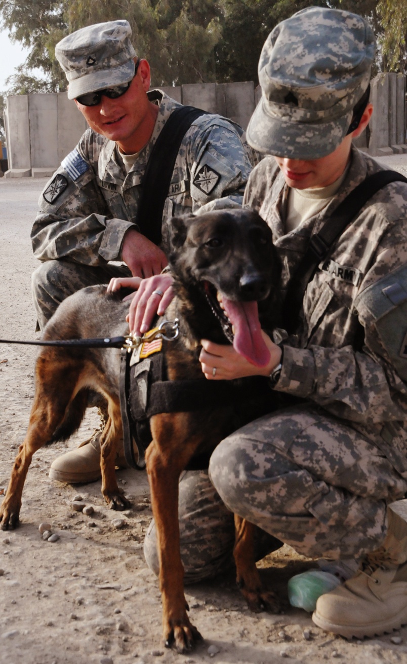 Deployment brings brother, sister together