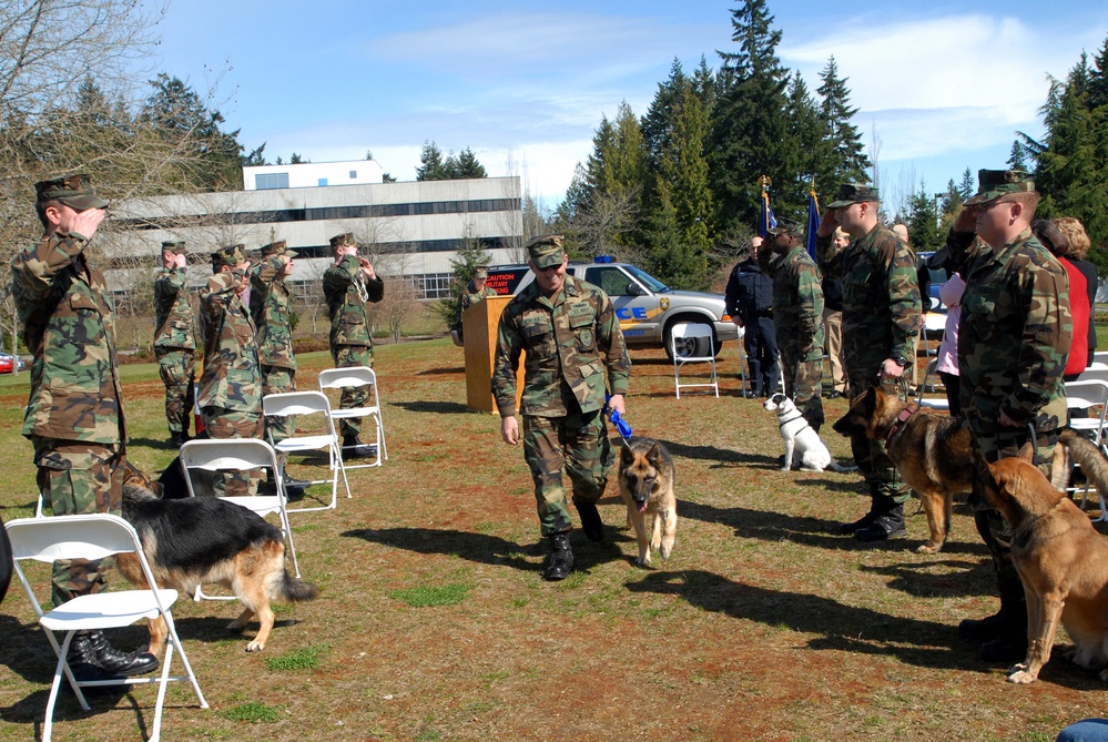 'Benny' the Working Dog Retires