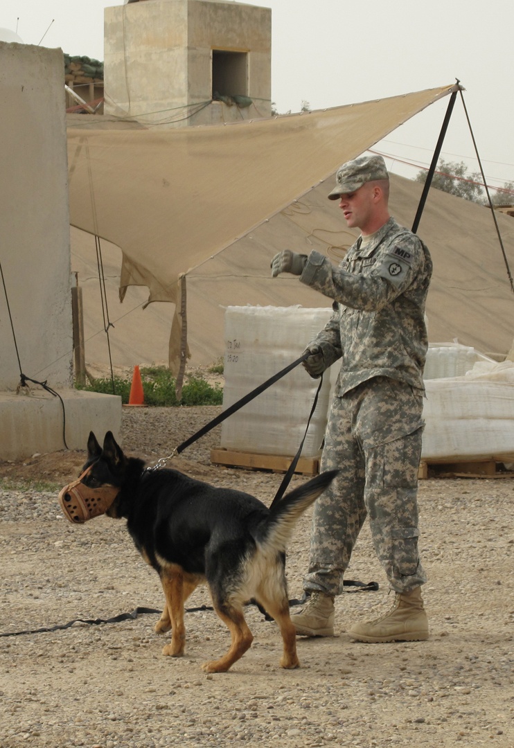 It's great to have a dog in the fight