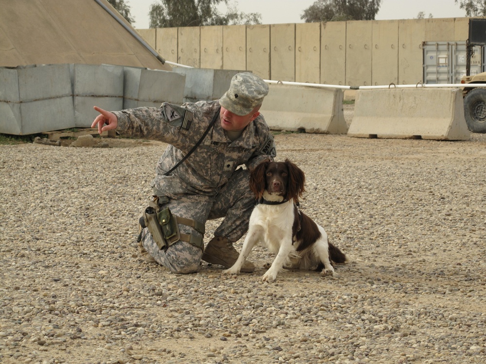 It's great to have a dog in the fight