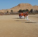 San Antonio, Chile Baseball Game