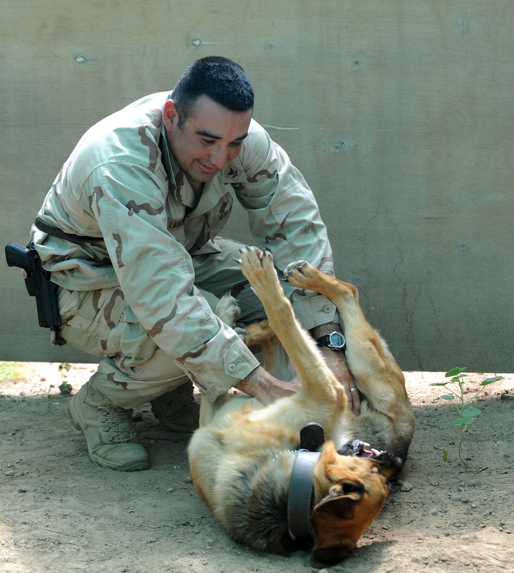 K-9 Mission at Camp Lemonier