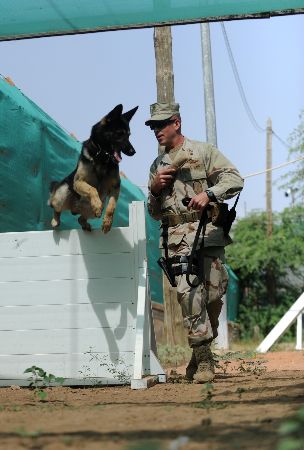 K-9 Mission at Camp Lemonier