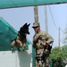 K-9 Mission at Camp Lemonier