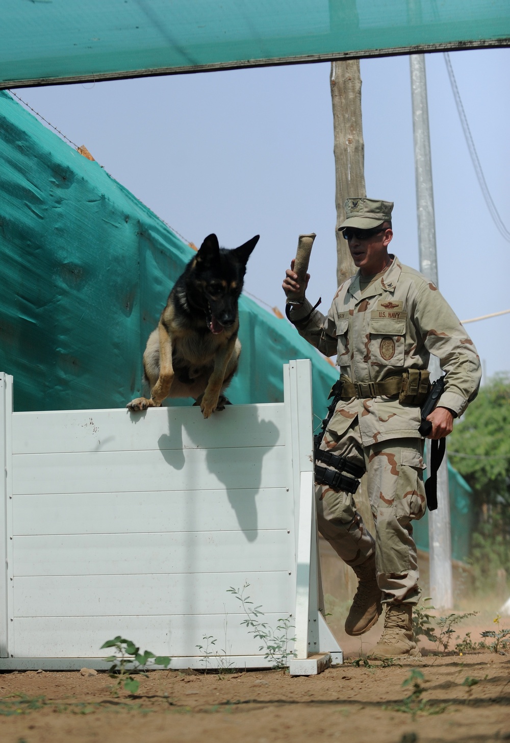 K-9 Mission at Camp Lemonier