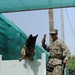 K-9 Mission at Camp Lemonier