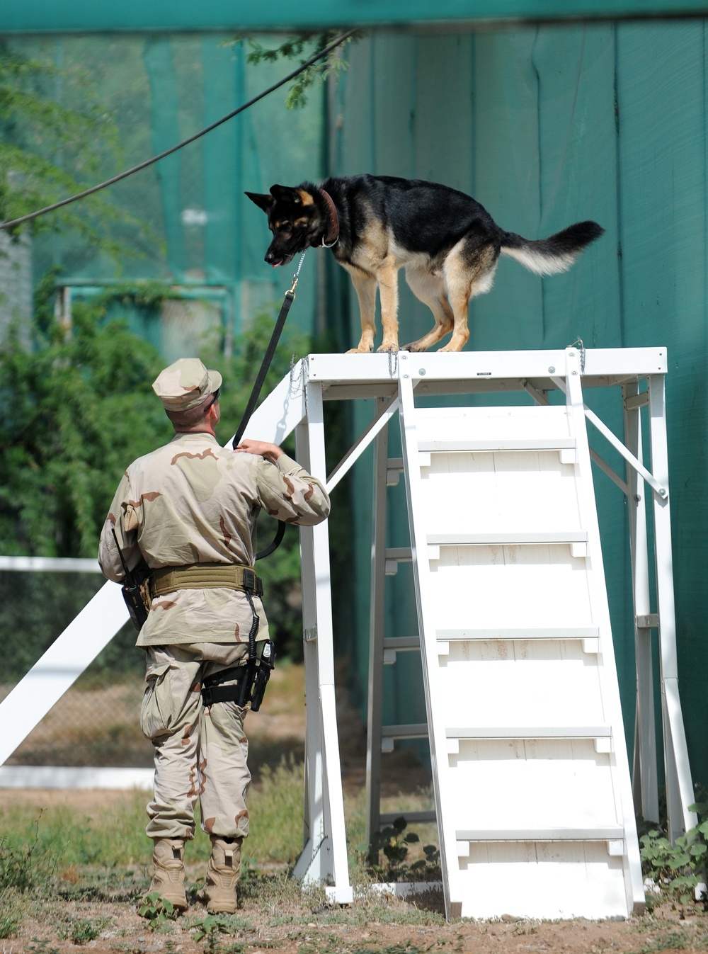 K-9 Mission at Camp Lemonier