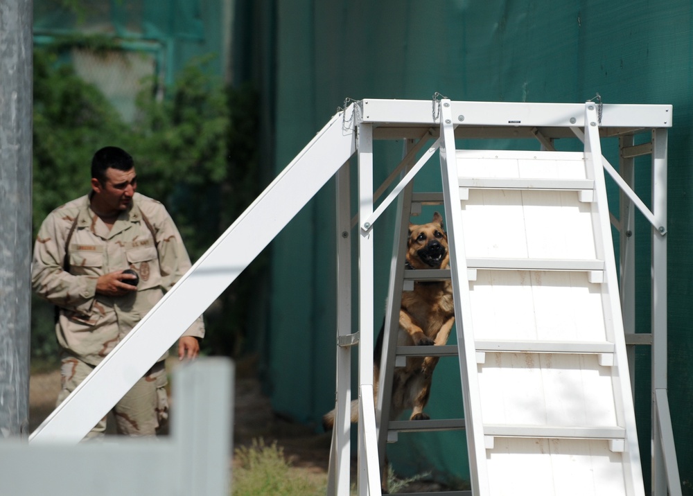 K-9 Mission at Camp Lemonier