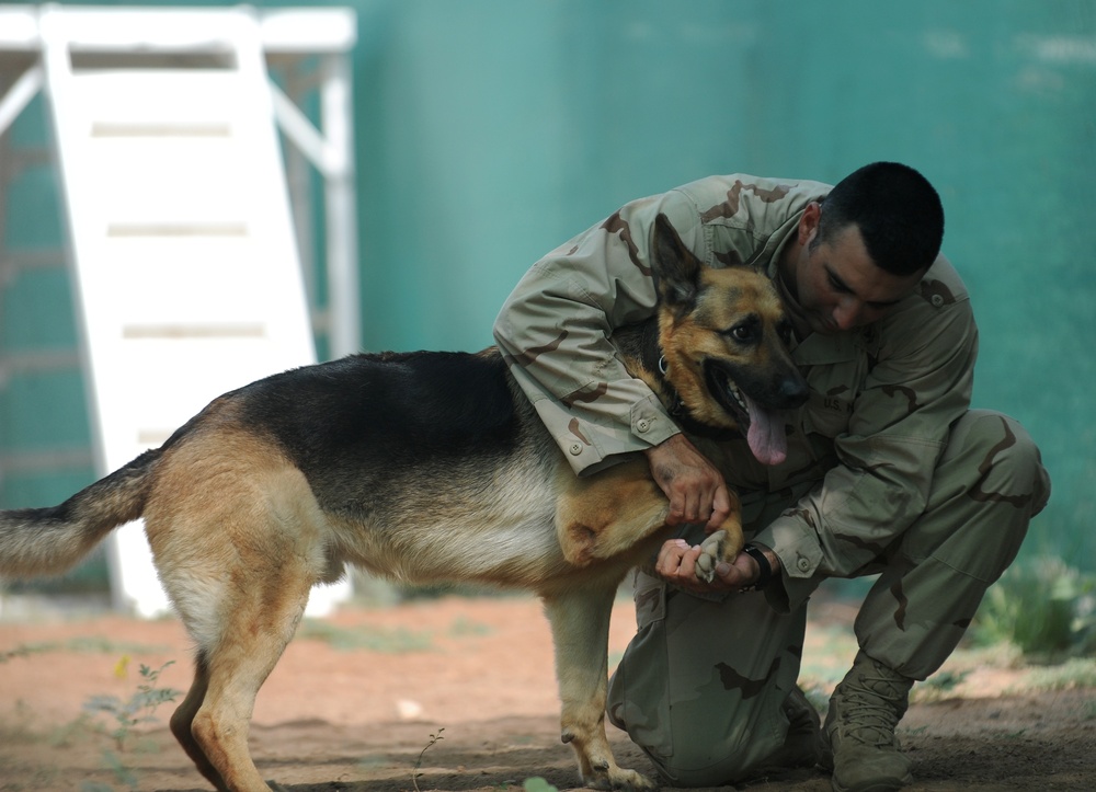 K-9 Mission at Camp Lemonier