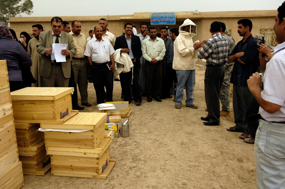 Beehive distribution in Mahawil