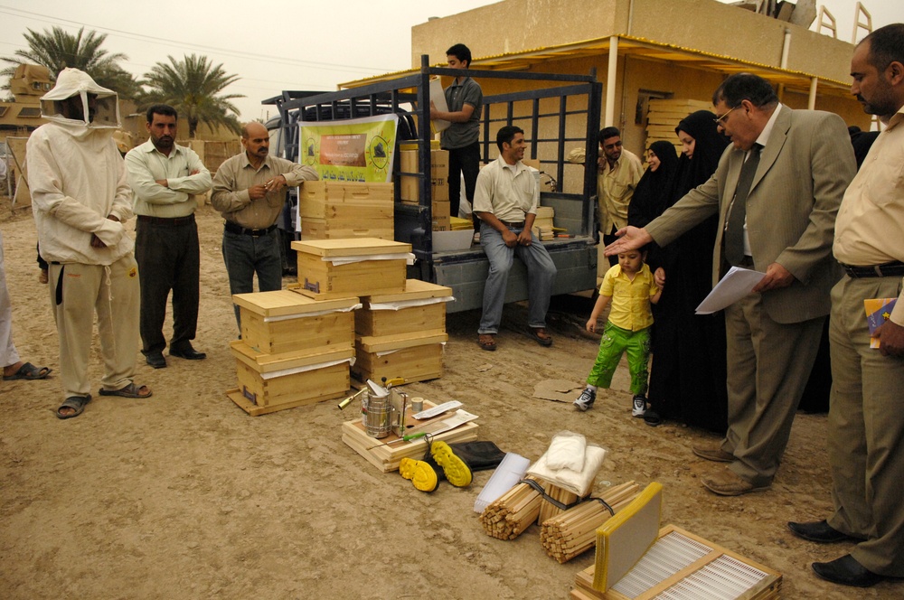 Beehive distribution in Mahawil