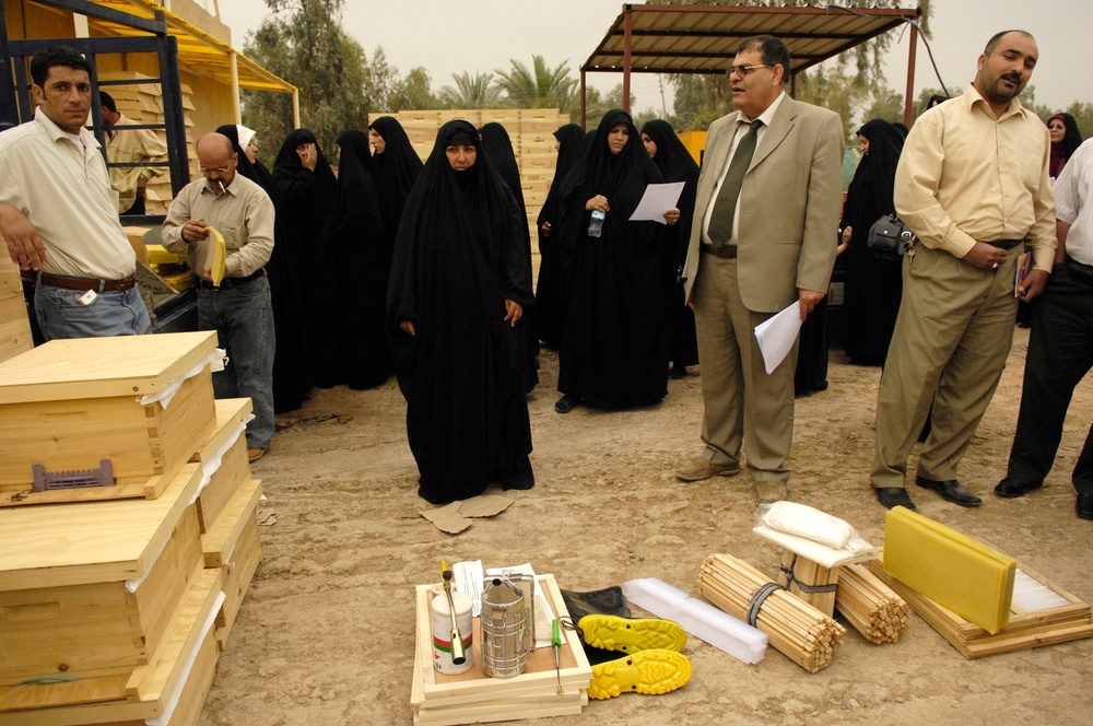 Beehive distribution in Mahawil