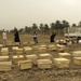 Beehive distribution in Mahawil