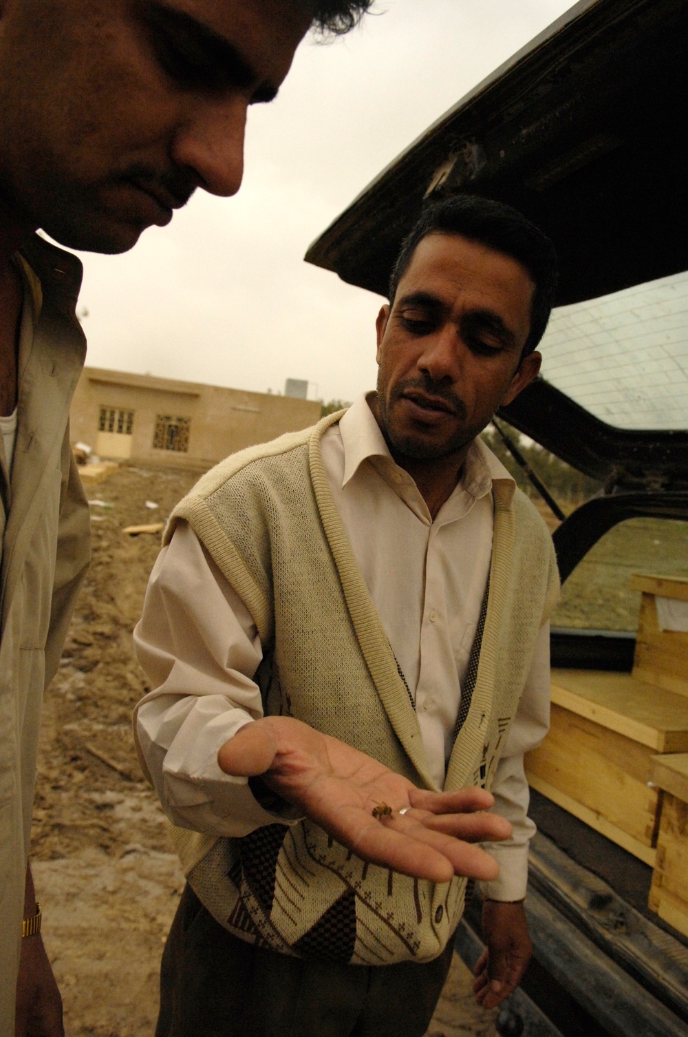 Beehive distribution in Mahawil