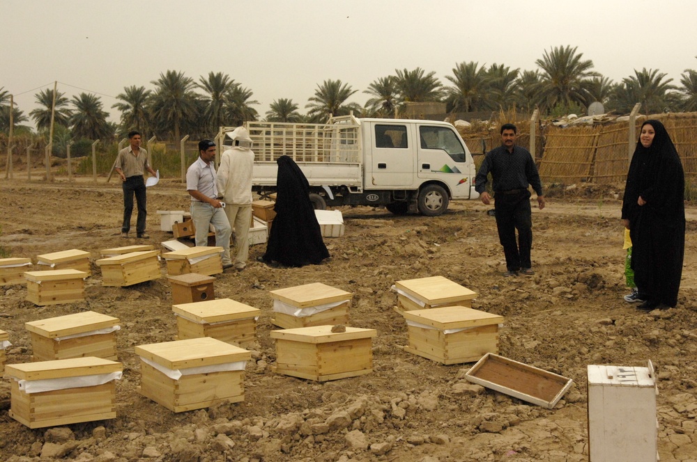 Beehive distribution in Mahawil