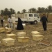 Beehive distribution in Mahawil