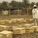 Beehive distribution in Mahawil