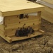 Beehive distribution in Mahawil
