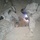Multi-National Division-Baghdad engineers defeat tunnel terrorists