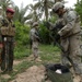 Palm grove clearing in Esalwid