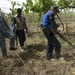 Palm grove clearing in Esalwid