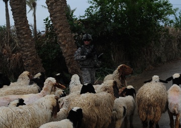 Weapons cache search in Qarghuli
