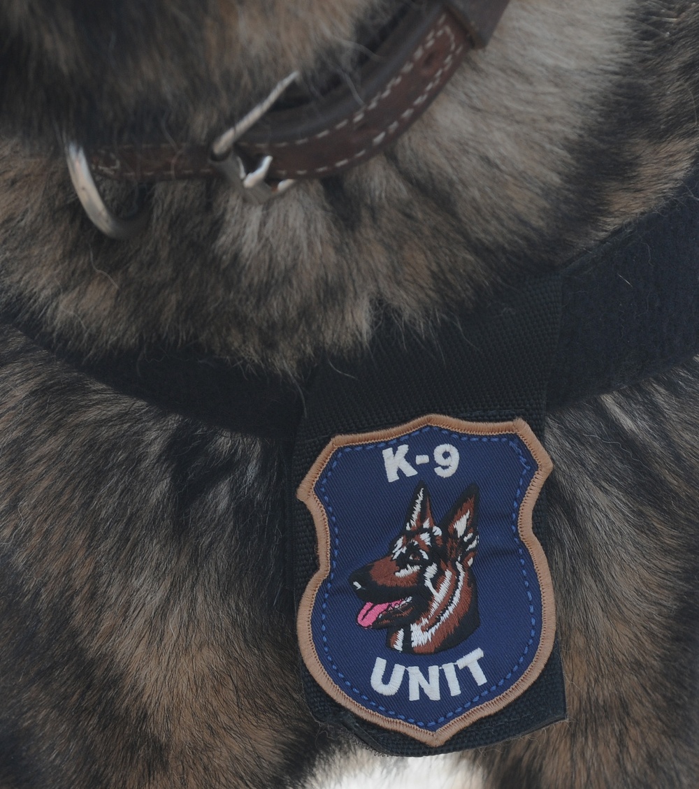 K-9 Search Port K-9 Search Port