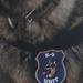 K-9 Search Port