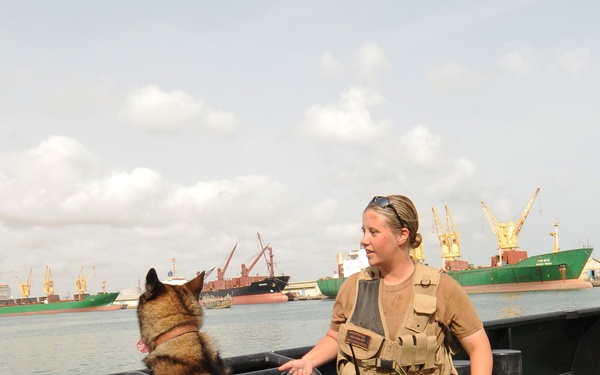 K-9 Search Port