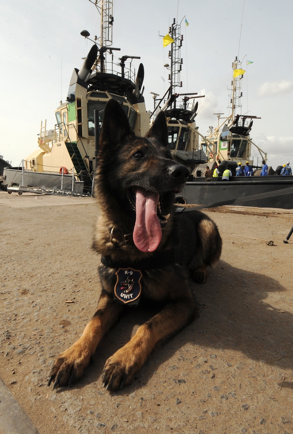 K-9 Search Port K-9 Search Port