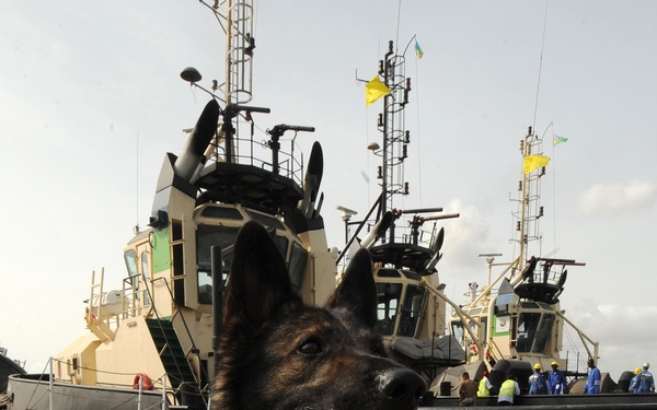 K-9 Search Port