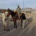 Blackhorse Troopers Earn Spurs