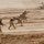 Iraqi Army demonstrates proficiency during Combined Arms Live Fire Exercise