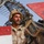Iraqi Army demonstrates proficiency during Combined Arms Live Fire Exercise