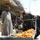 Picking up trash in Al Hayy, Iraq
