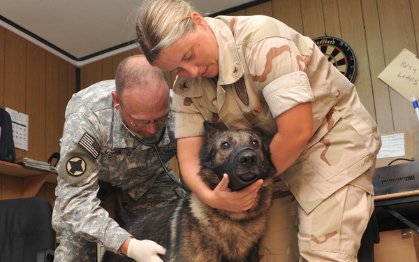 K-9 X-ray