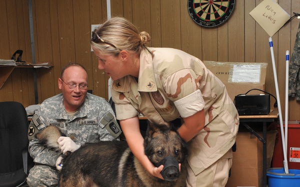 K-9 X-ray