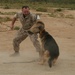 Military Police Conduct Military Operations on Urban Terrain Training