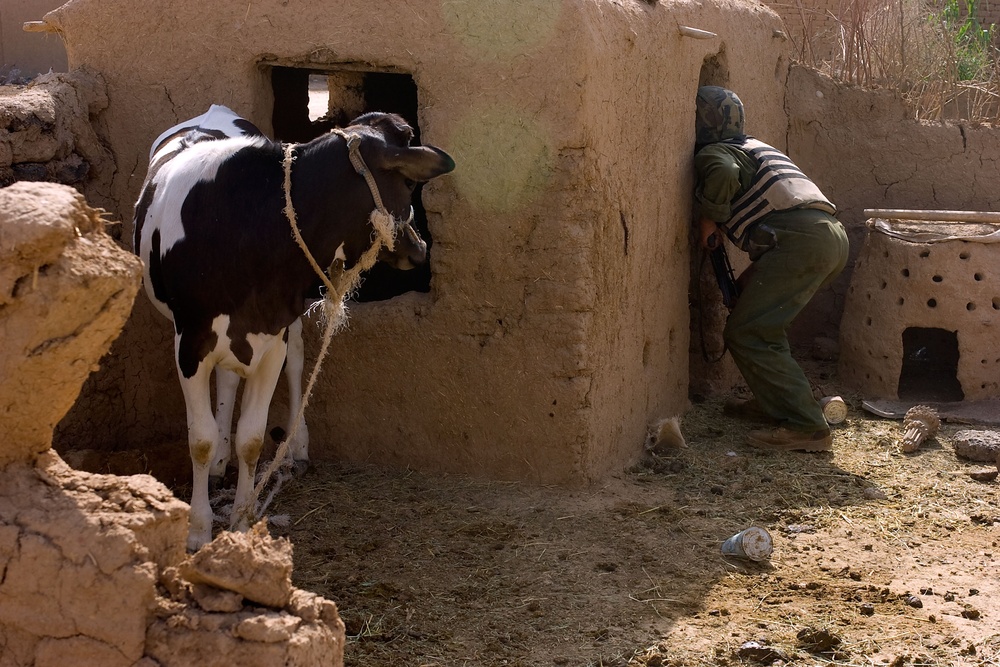 Patrol in Kirkuk, Iraq