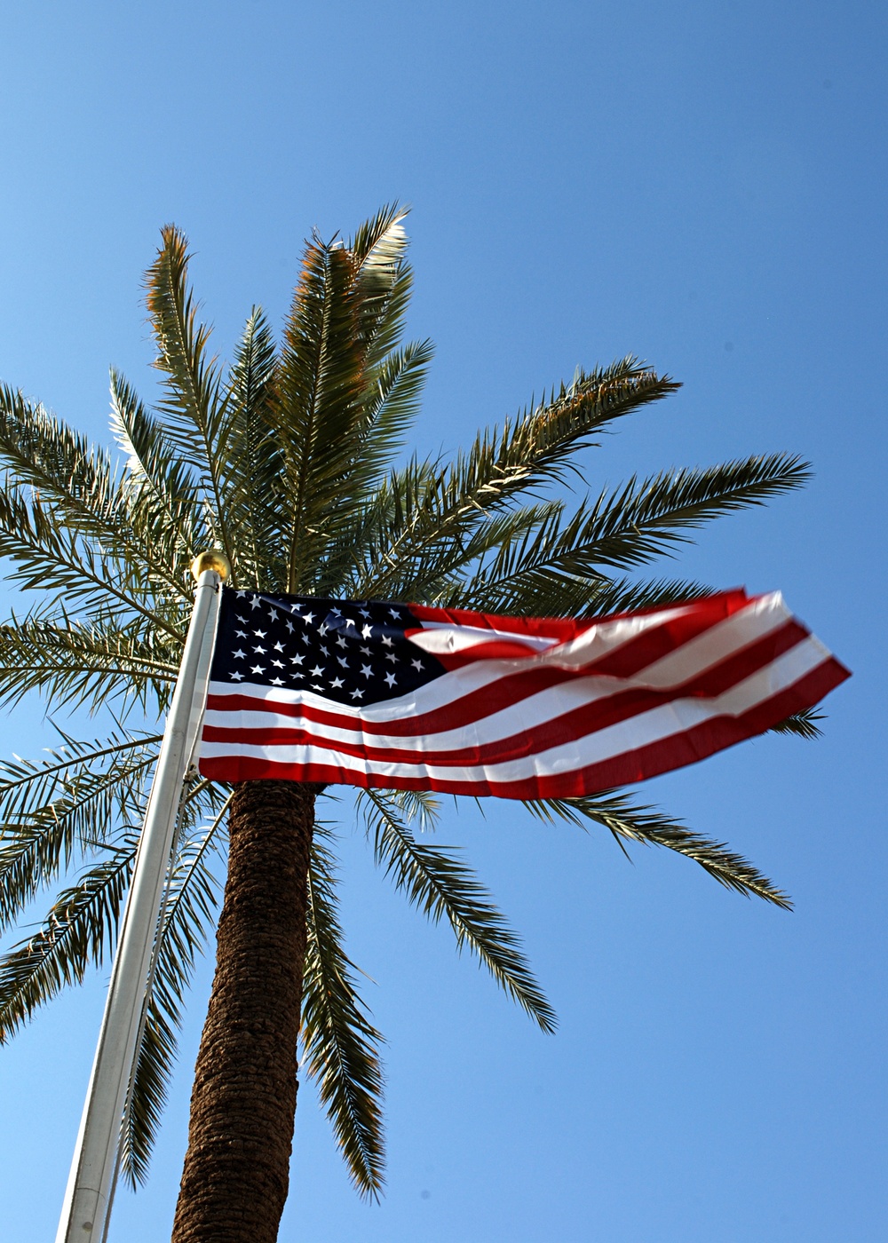 National Ensign