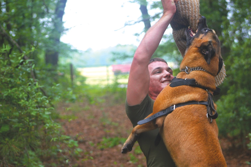 Man's Best Friend