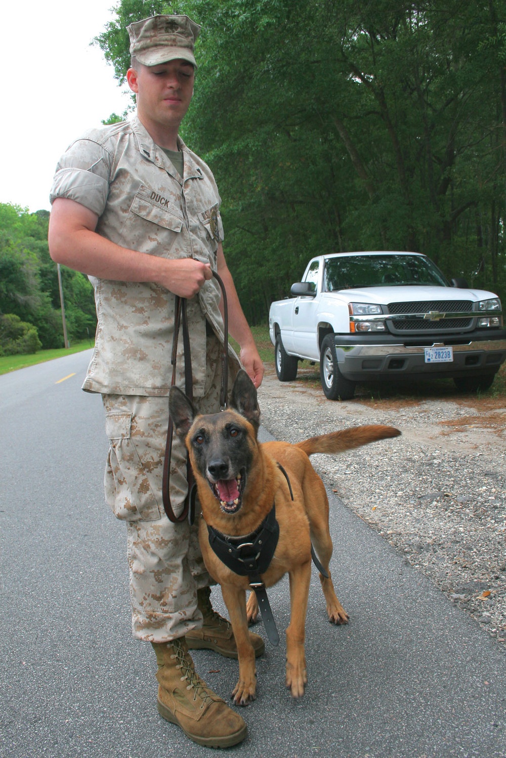 Man's Best Friend