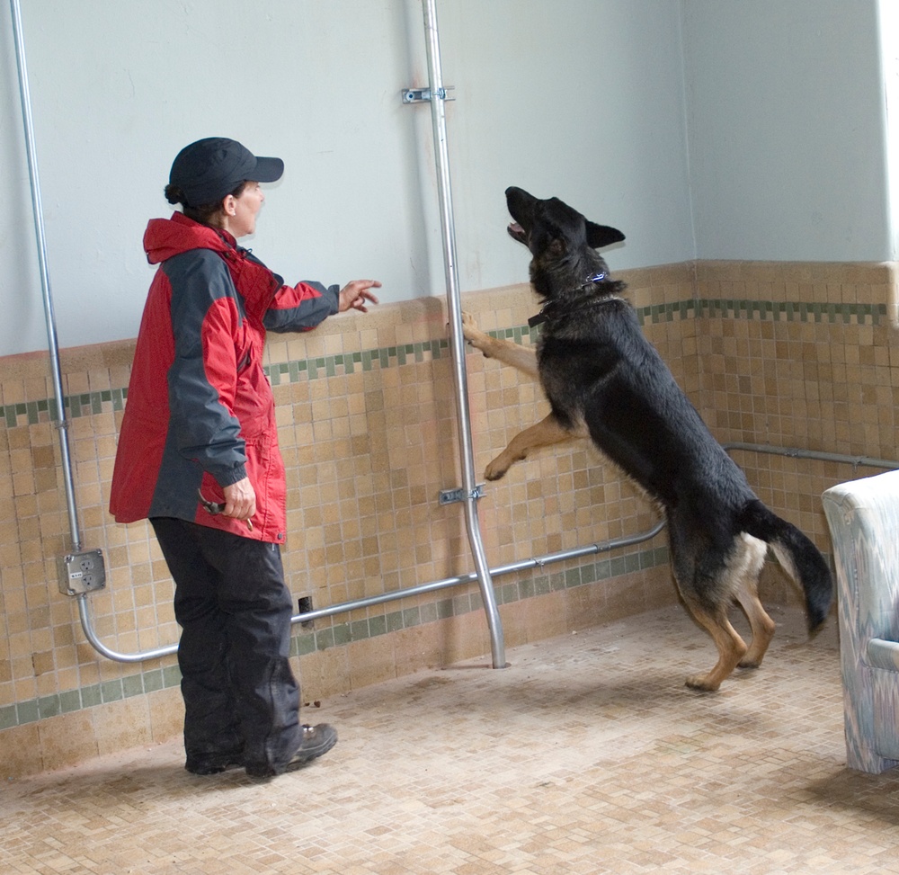 Muscatatuck Urban Training Center goes to the dogs