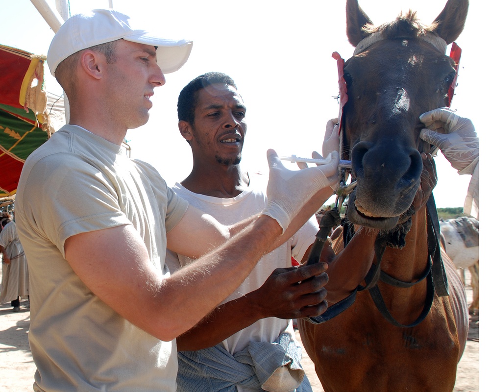 AL delivers medical care to Moroccan citizens, livestock