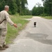 'Man's Best Friend' Helps Sniff Out improvised explosive devices