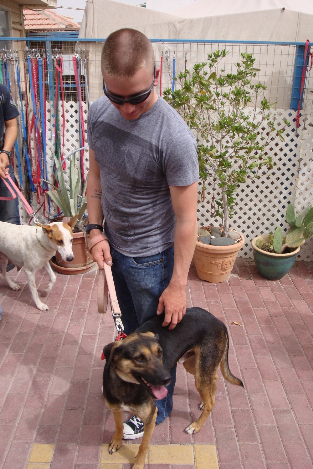 Sailors and Marines Volunteer at Bahrain Society for the Prevention of Cruelty to Animals