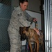 Military Working Dogs Are Vital Members of Manas K-9 Crew