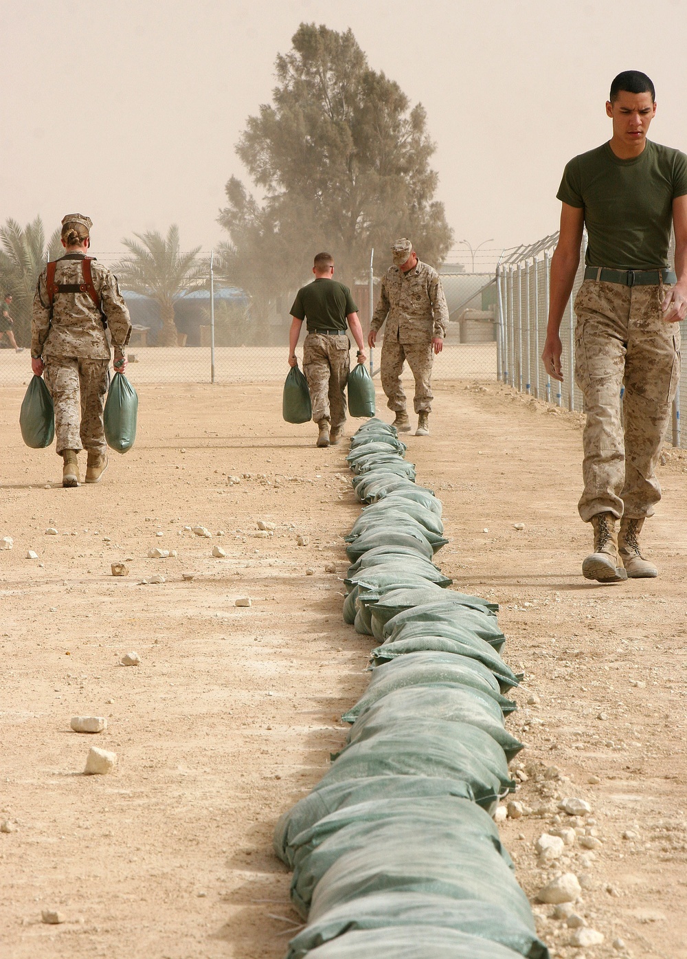 II Marine Expeditionary Force Headquarters Group Plows the Path to Physical Fitness